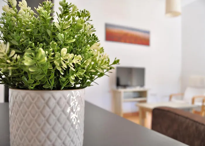 Apartamento En Casa Palacio- Centro Sanlucar